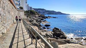 Rosas - Le Phare - 31